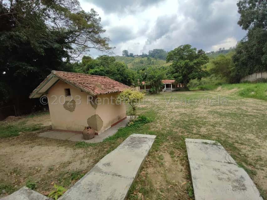 View 5