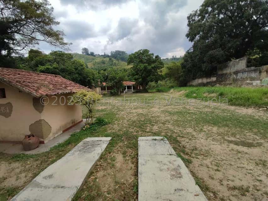 View 6