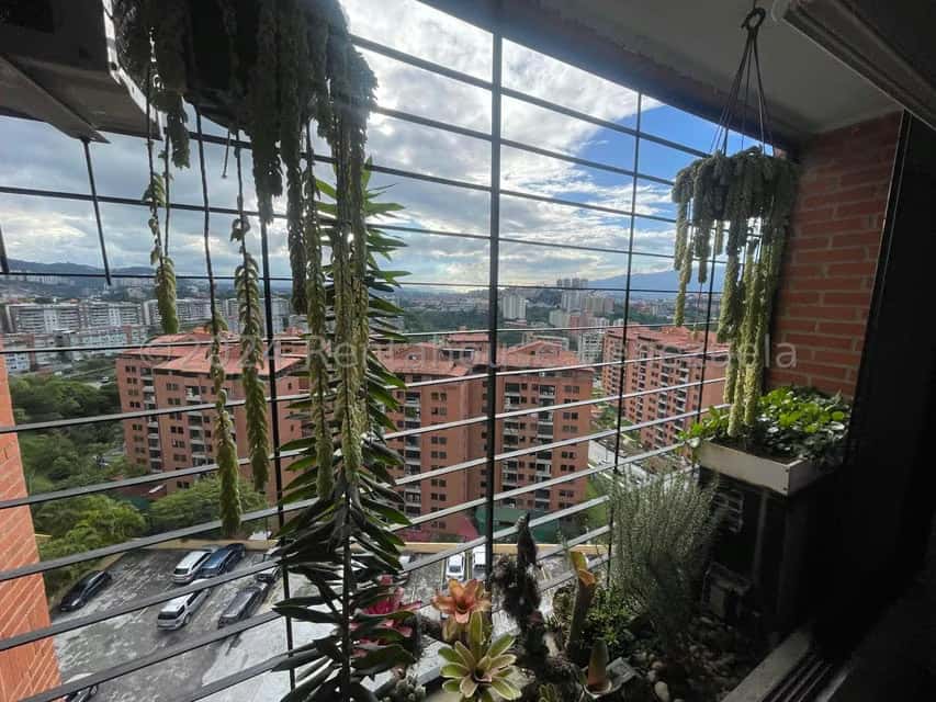 View 17