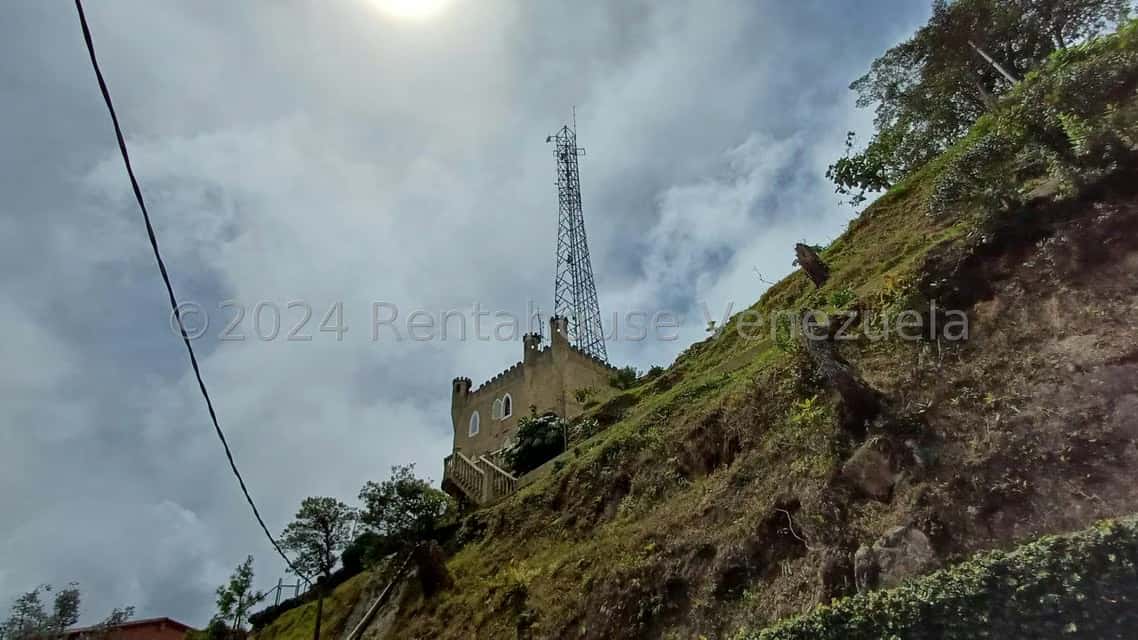 View 1