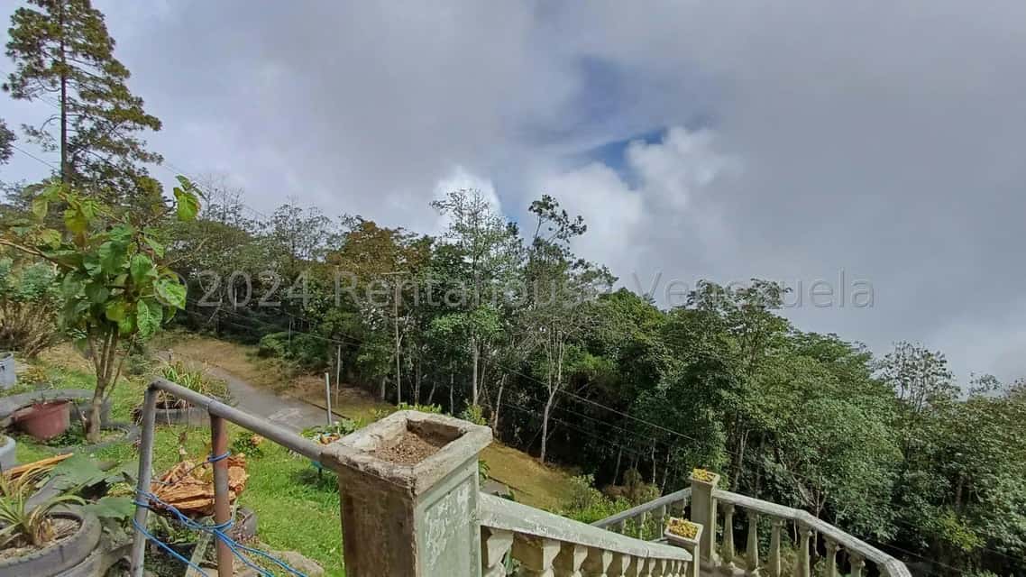 View 8