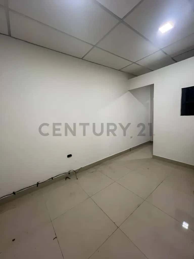 Vista 7