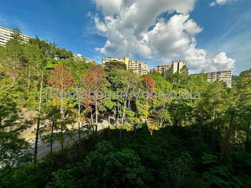 View 30