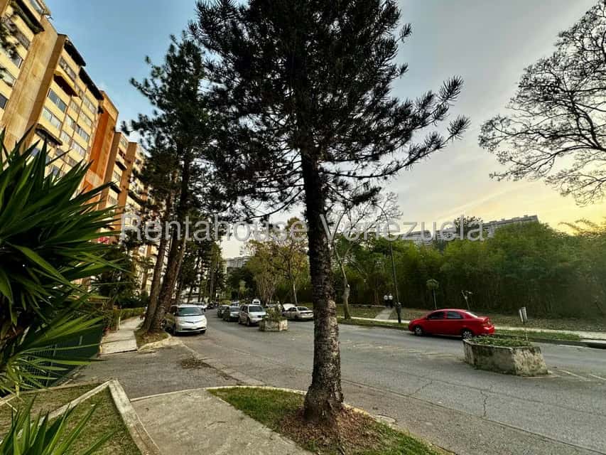 View 45