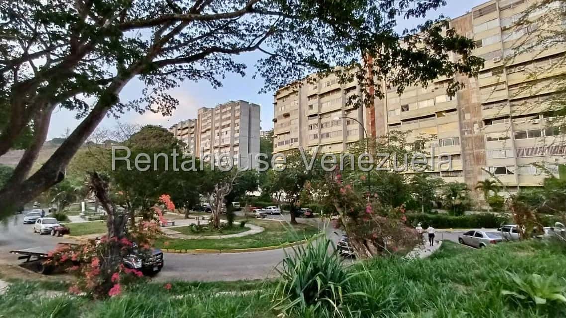 View 53