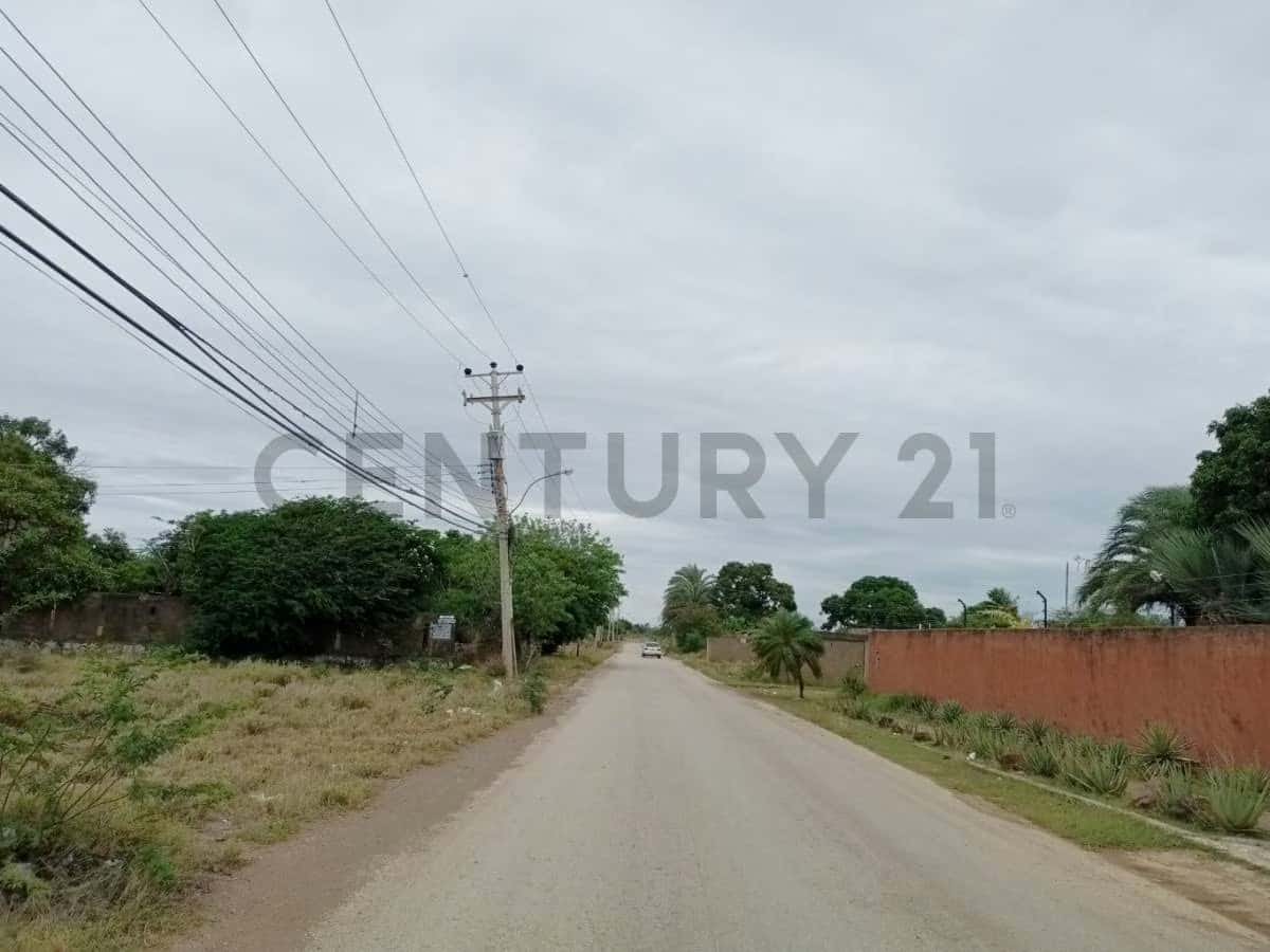 View 7