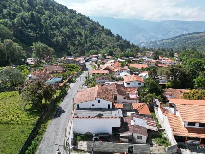 Vista 3