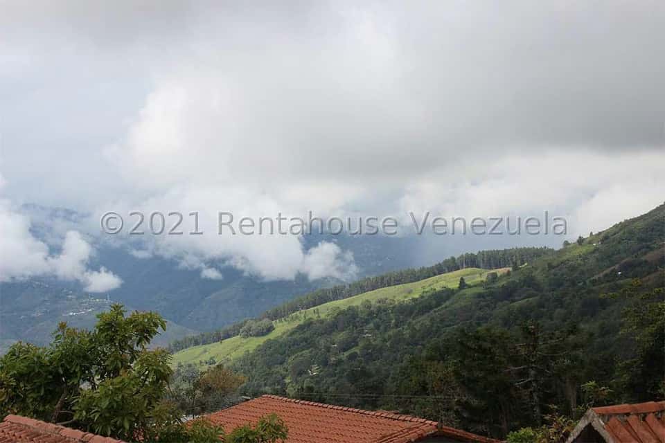 Vista 27