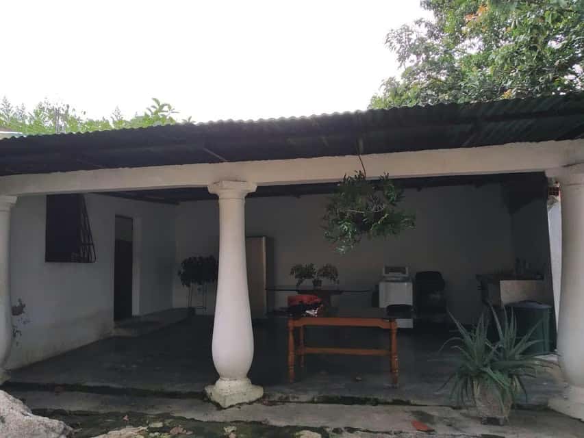 View 14