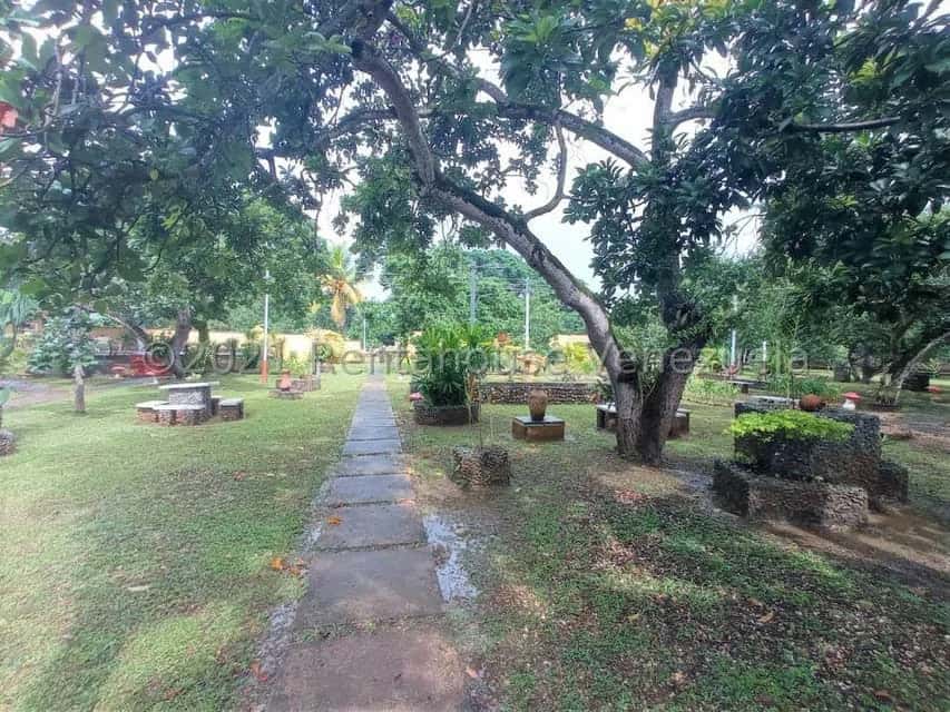 View 7