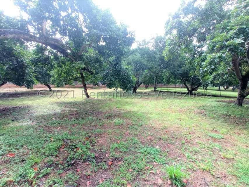 View 67