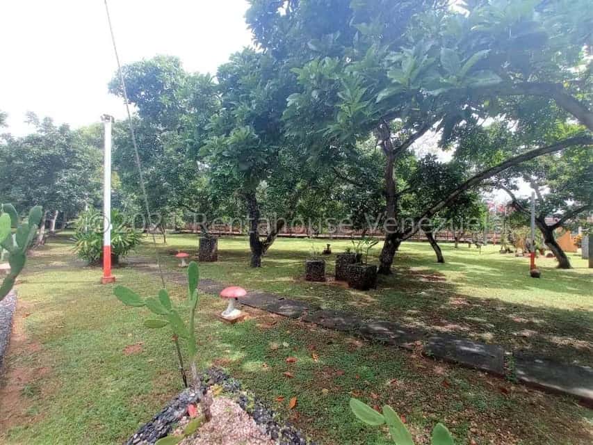 View 73