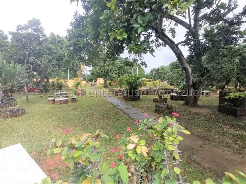 View 78