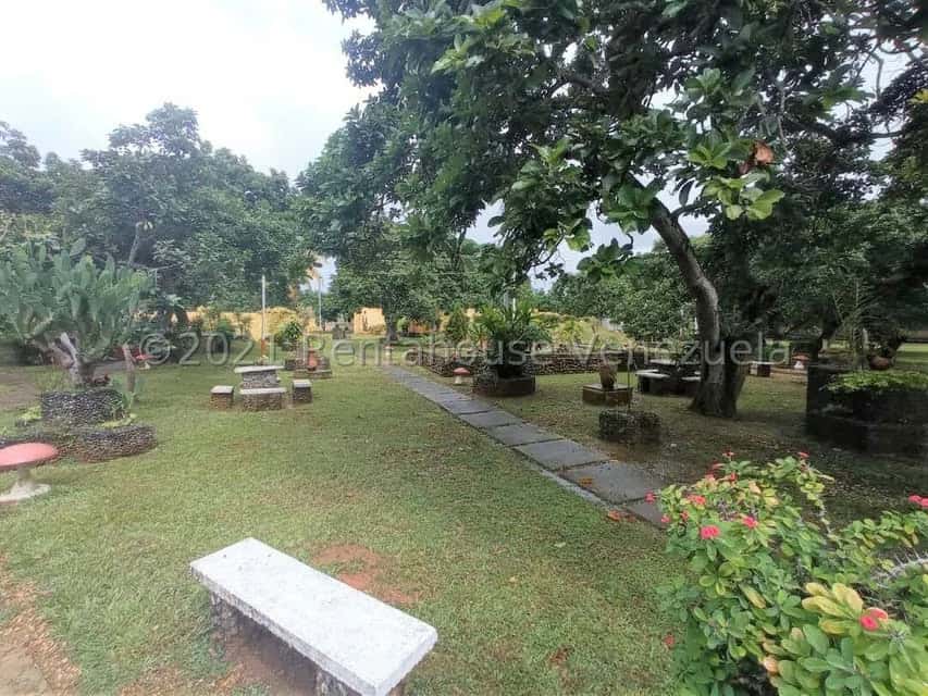 View 79
