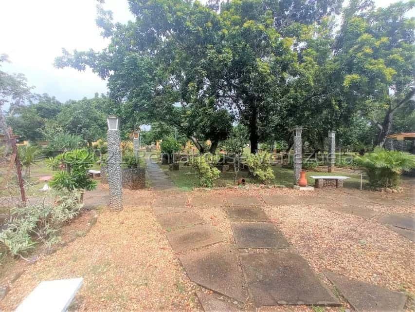 View 81
