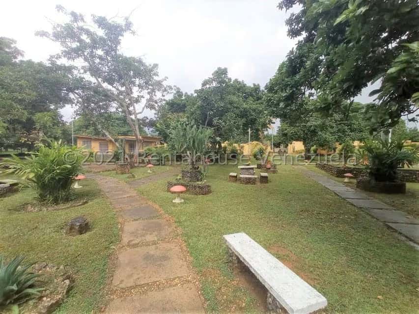View 83