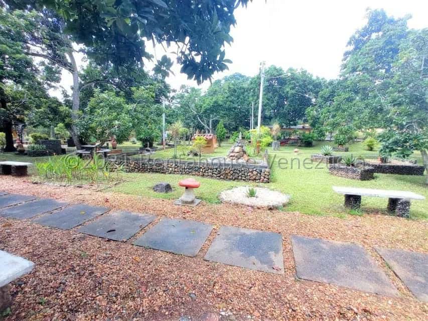 View 10