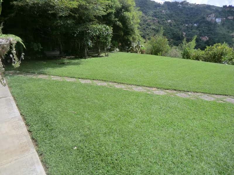 View 16