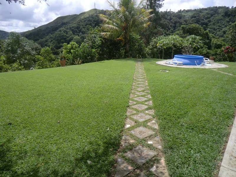 View 17