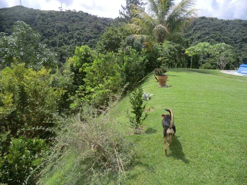 View 19