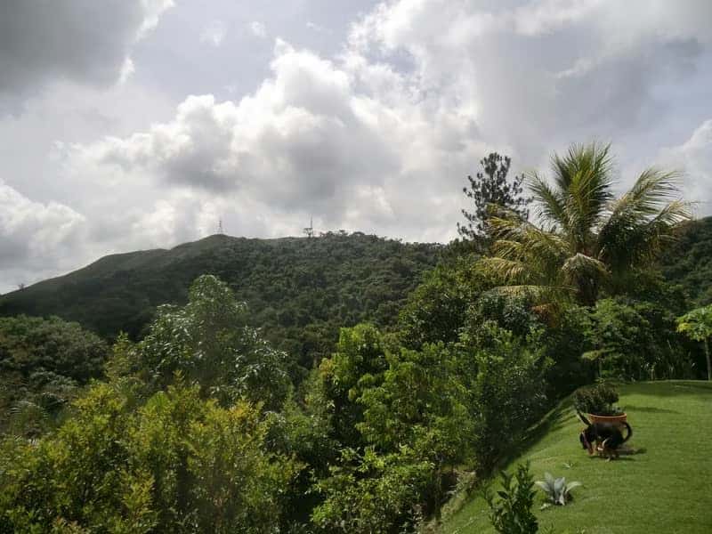 View 20