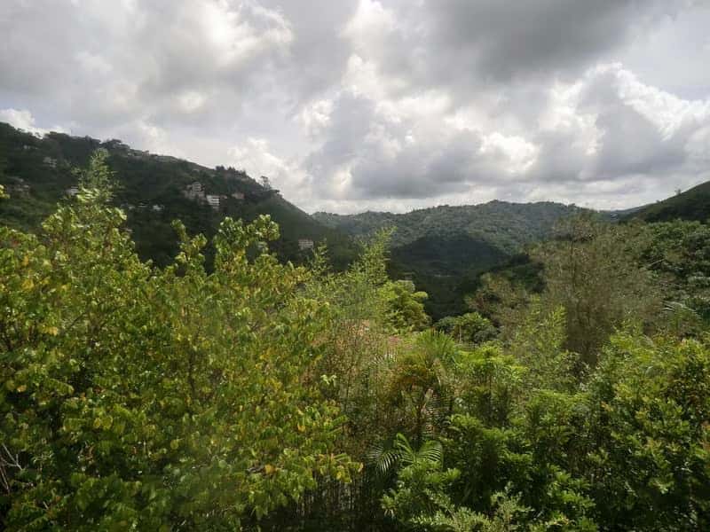 View 21