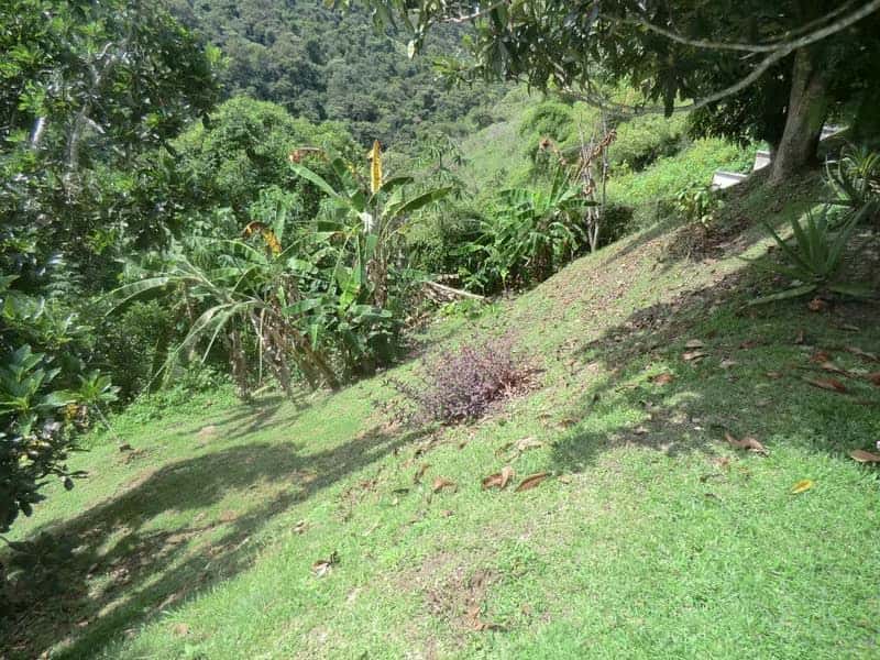 View 23