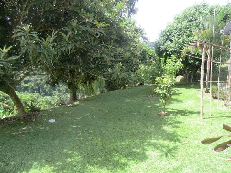 View 25
