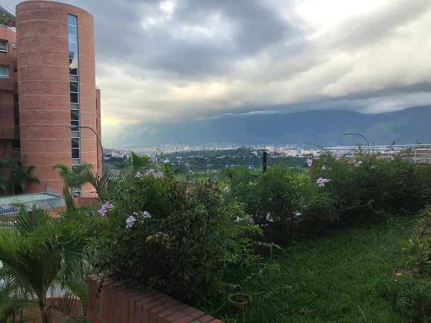 View 51
