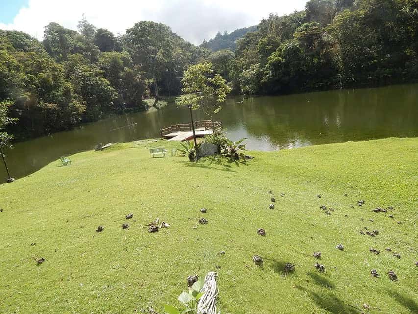 View 46