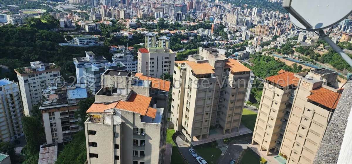 Vista 31