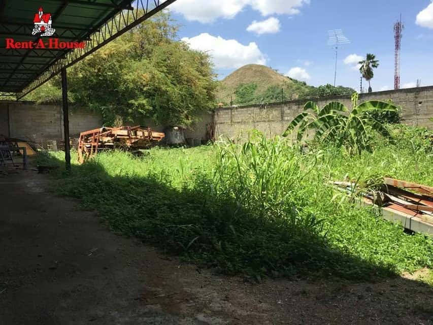 Vista 3