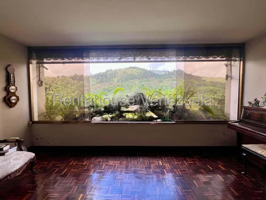 Vista 16