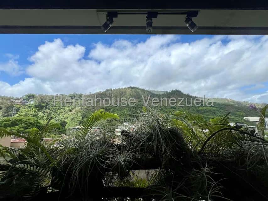 Vista 17