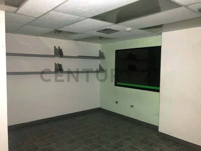 Vista 12