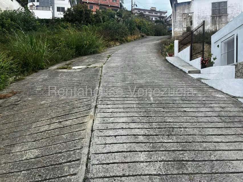 Vista 26