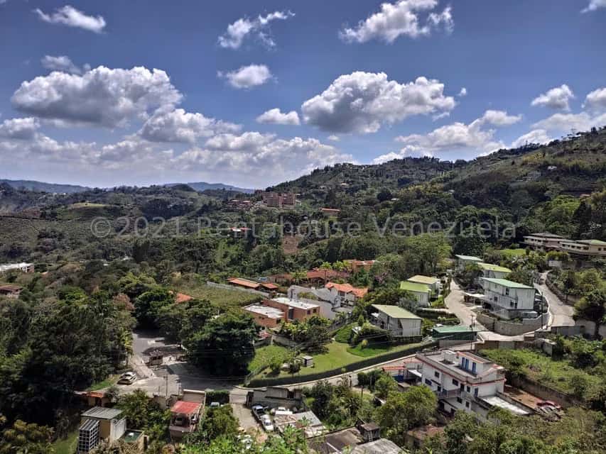 Vista 14