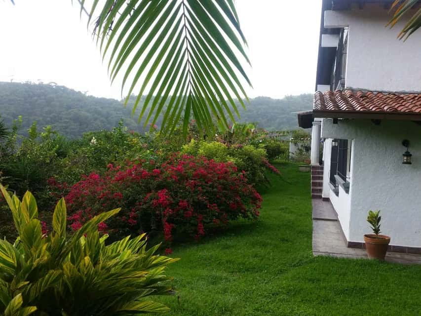 View 39