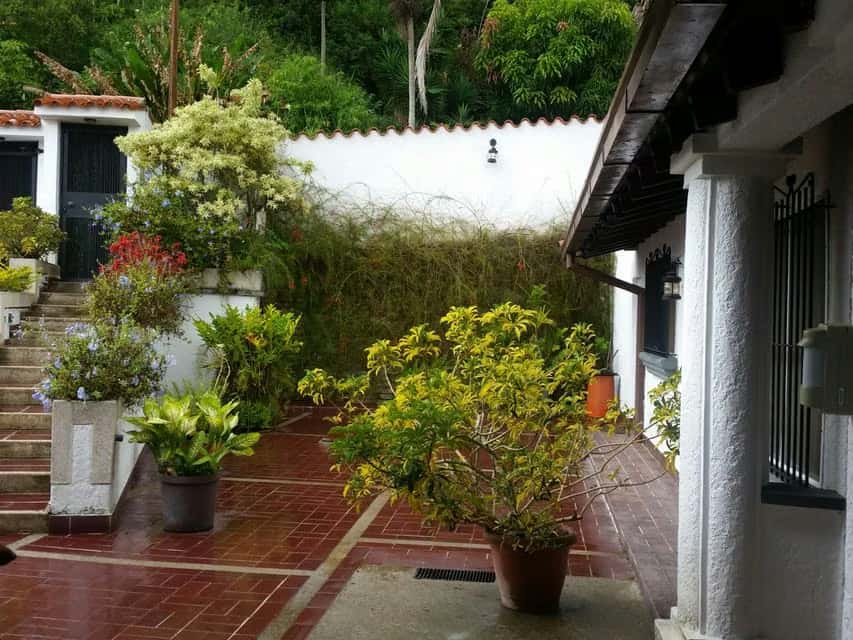 View 41