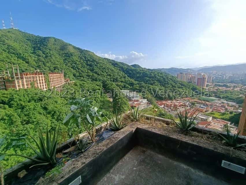 Vista 24