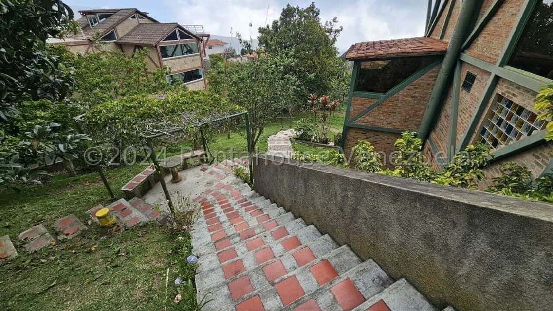 View 61