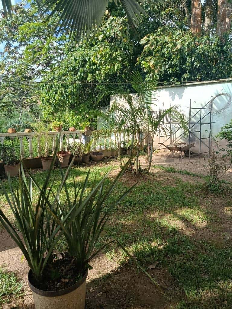 View 13