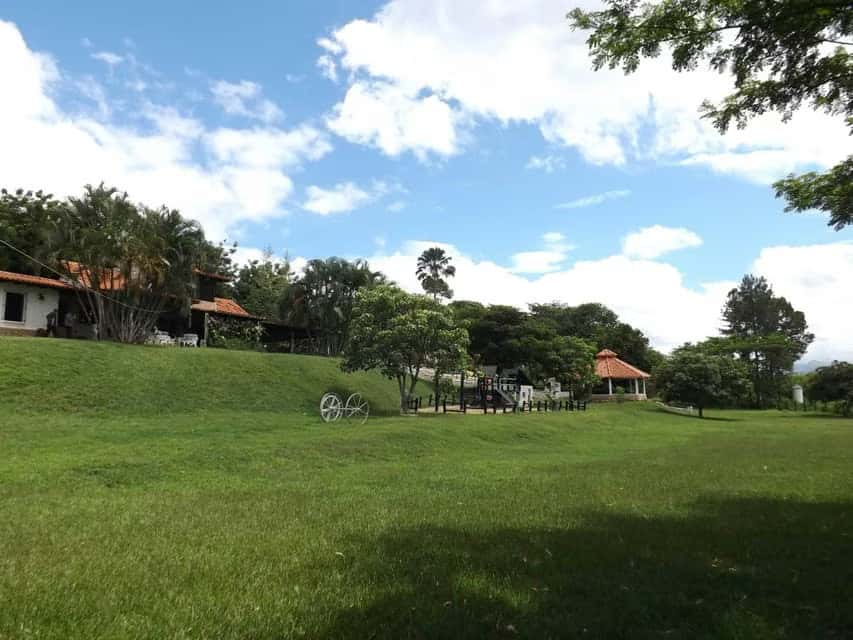 View 43