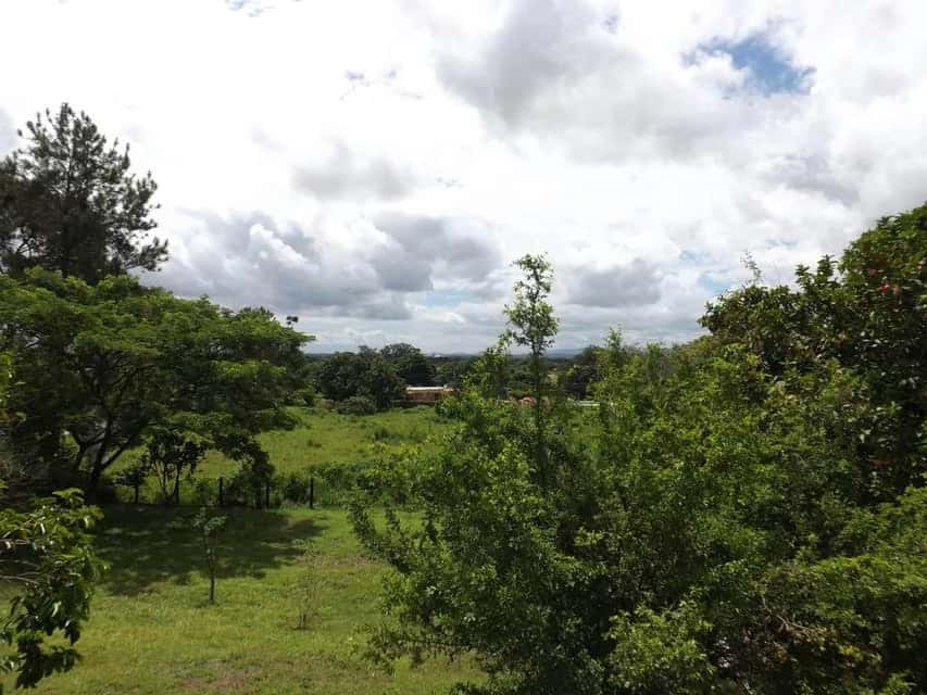 View 57