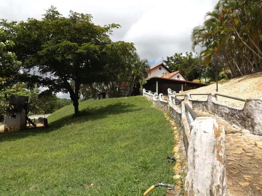 View 65