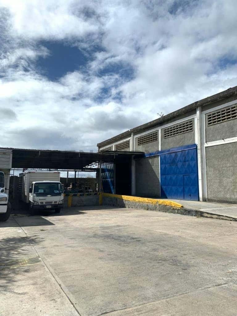 Vista 9