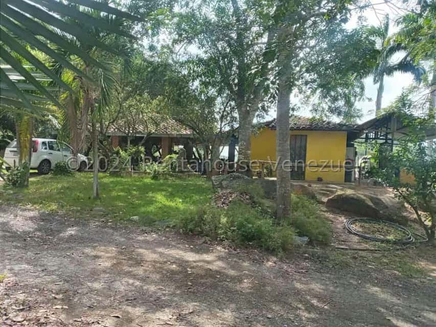 View 2