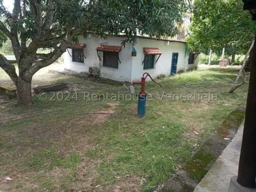 View 14