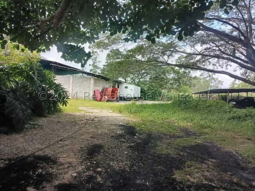 View 22