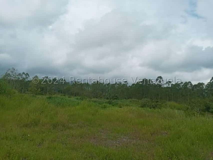 View 41